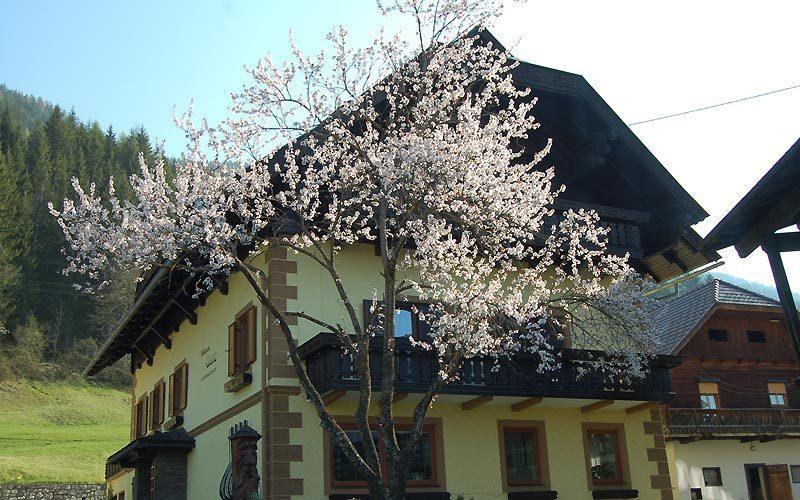 Haus Garz Apartment Weissensee Exterior photo