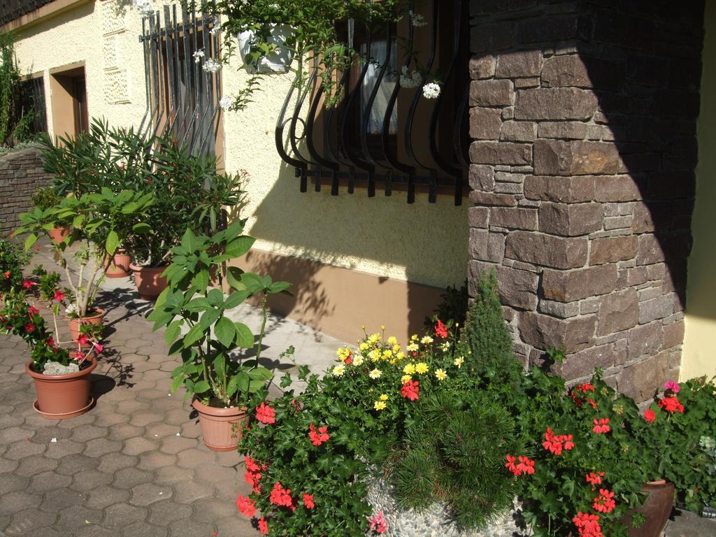 Haus Garz Apartment Weissensee Exterior photo